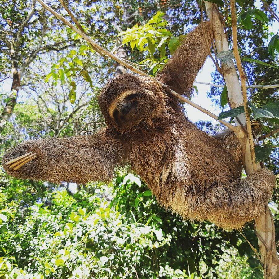 Mata N'Ativa Pousada Trancoso Eksteriør bilde