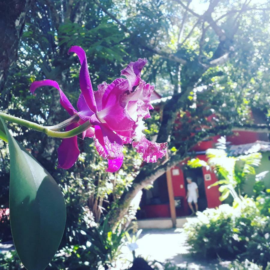 Mata N'Ativa Pousada Trancoso Eksteriør bilde